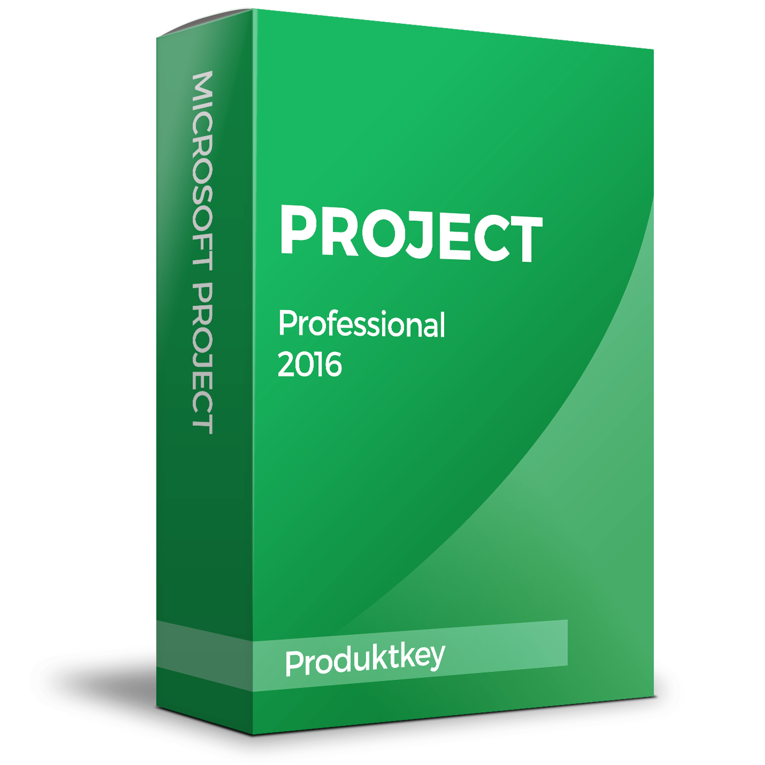 microsoft project professional 2016 help